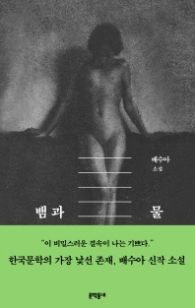 뱀과 물 (양장)